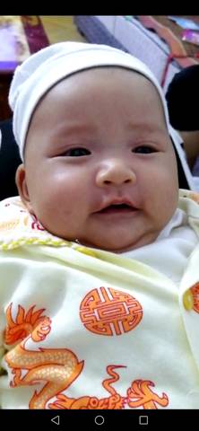 journal_insert_pic_1230655808