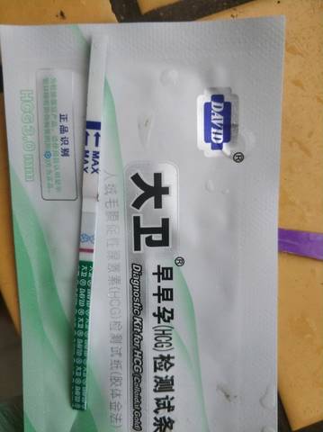 journal_insert_pic_1230269325