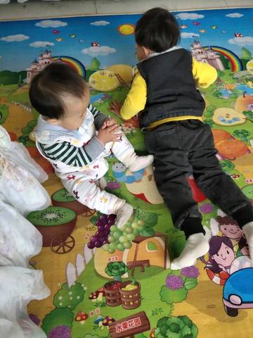 journal_insert_pic_1231557110