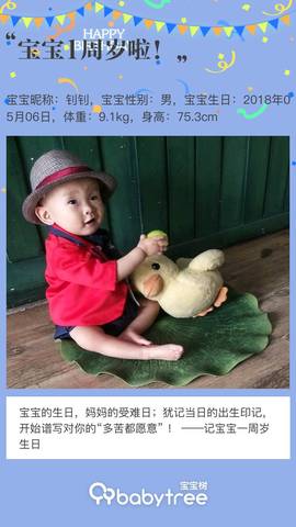 journal_insert_pic_1231358301