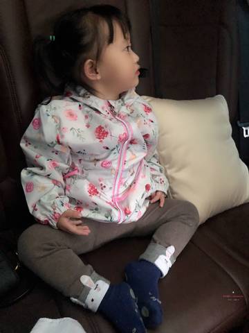 journal_insert_pic_1232401426