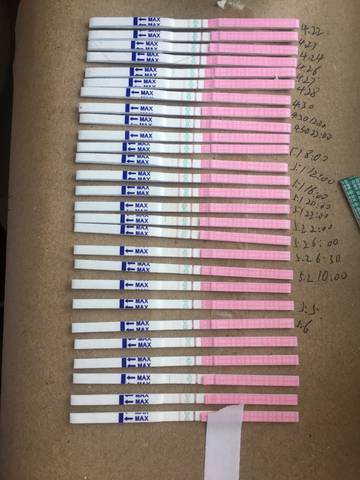 journal_insert_pic_1232278123