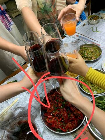 journal_insert_pic_1232931255