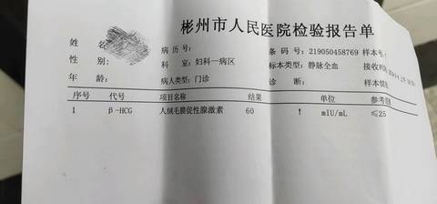 journal_insert_pic_1233604893