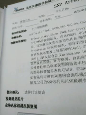 journal_insert_pic_1233478762