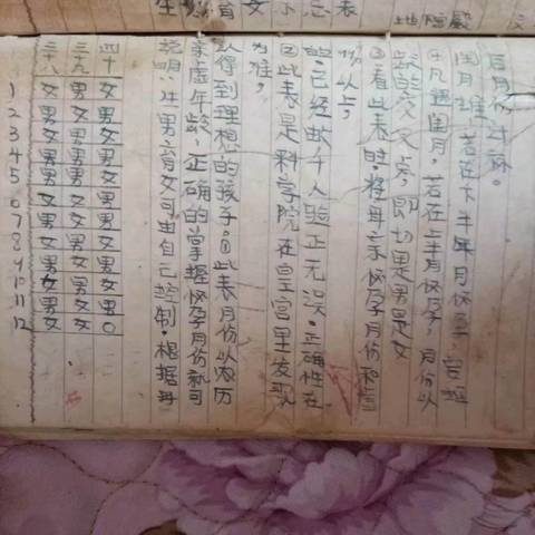 journal_insert_pic_1234263472