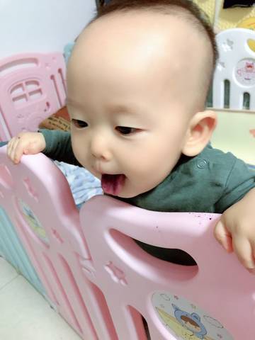 journal_insert_pic_1234156084