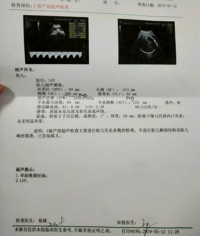 journal_insert_pic_1234550887