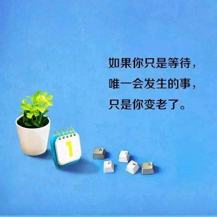 journal_insert_pic_1234633775
