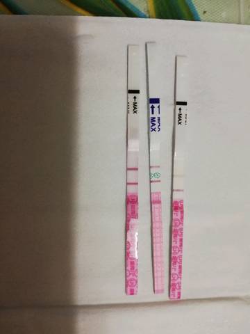 journal_insert_pic_1235190078