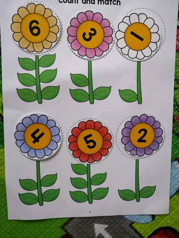journal_insert_pic_1234976222