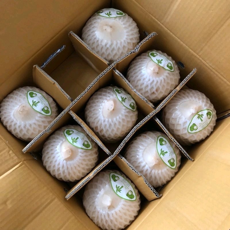 谁谁谁还想要来着