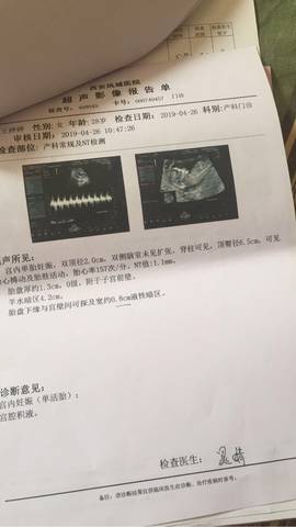 journal_insert_pic_1235821473