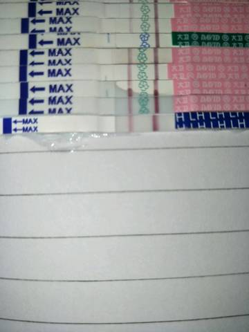 journal_insert_pic_1235262511