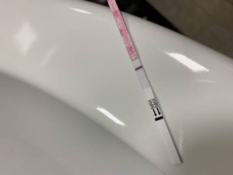 journal_insert_pic_1236453313