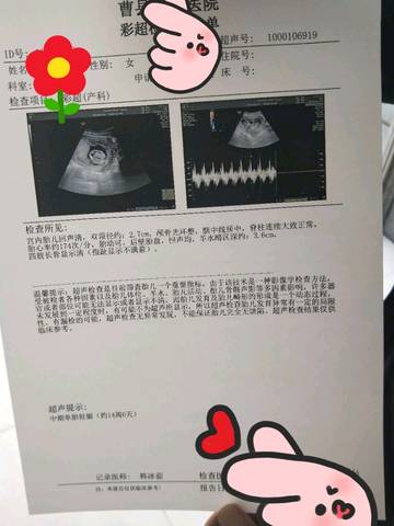 journal_insert_pic_1237188140