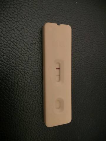 journal_insert_pic_1237500081