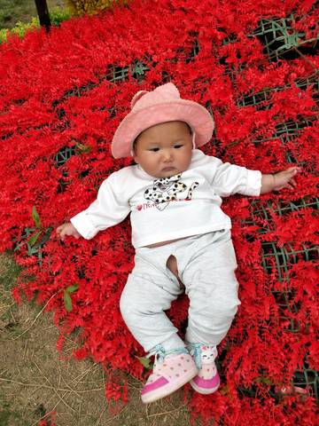 journal_insert_pic_1238612139