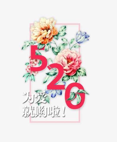 journal_insert_pic_1238993449