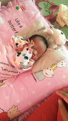 journal_insert_pic_1240850384