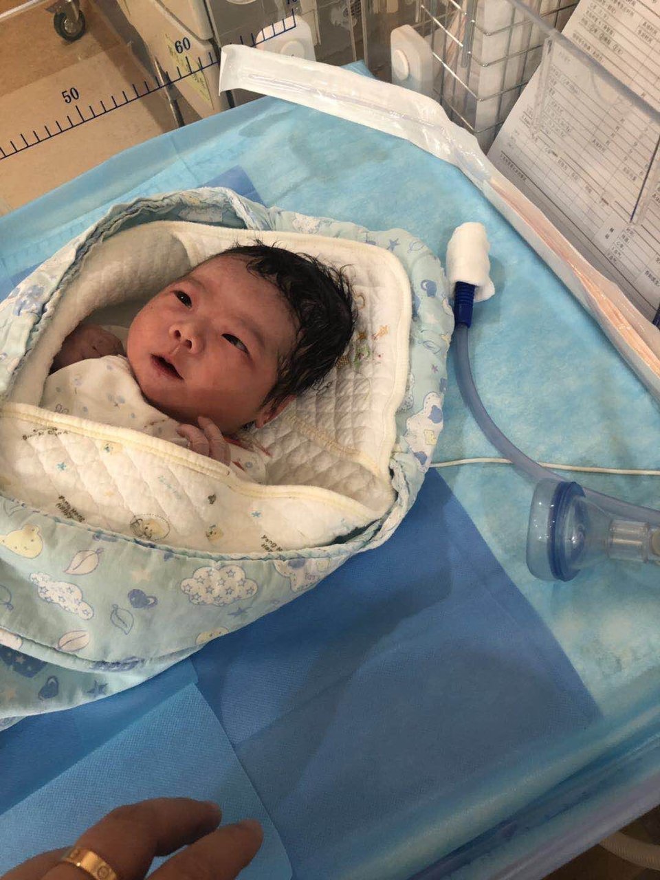 催产了近6天 终于顺产下一只四脚吞金兽