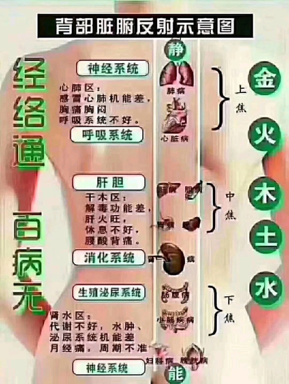 经络通 百病无