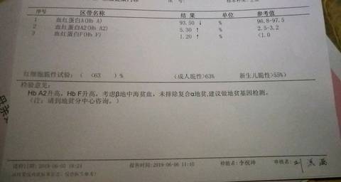 journal_insert_pic_1249625165