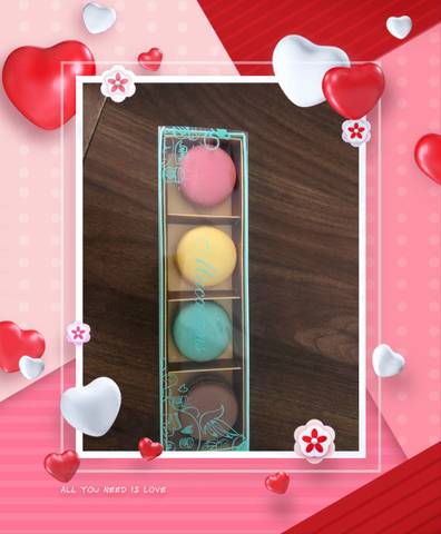 journal_insert_pic_1265072459