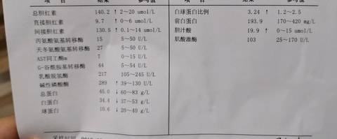 journal_insert_pic_1301393623