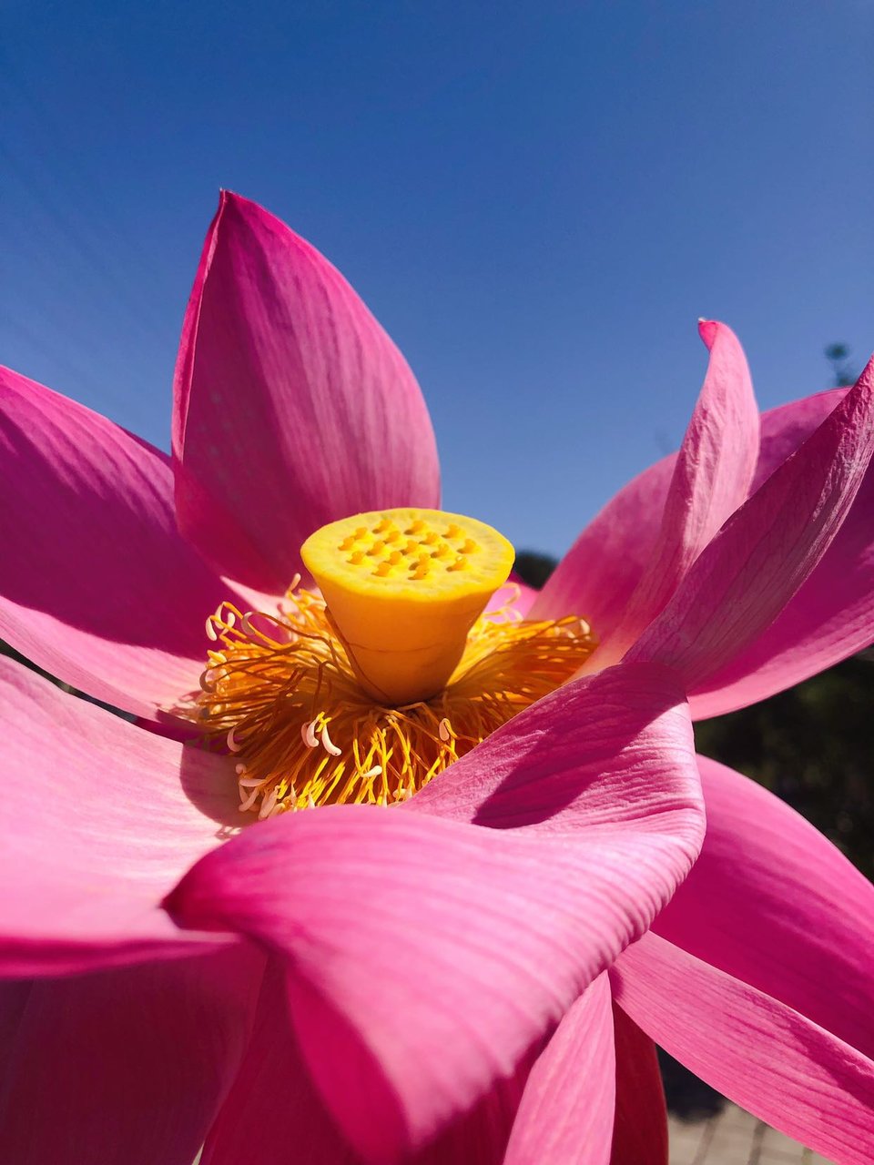 4月的宝妈都开始上班了吧？