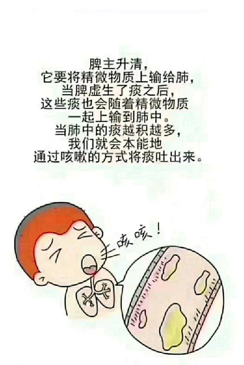 🎀
​秋天咳​嗽多起来了