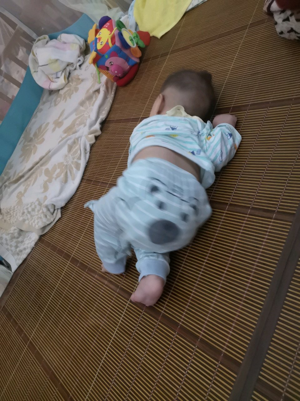 学爬！