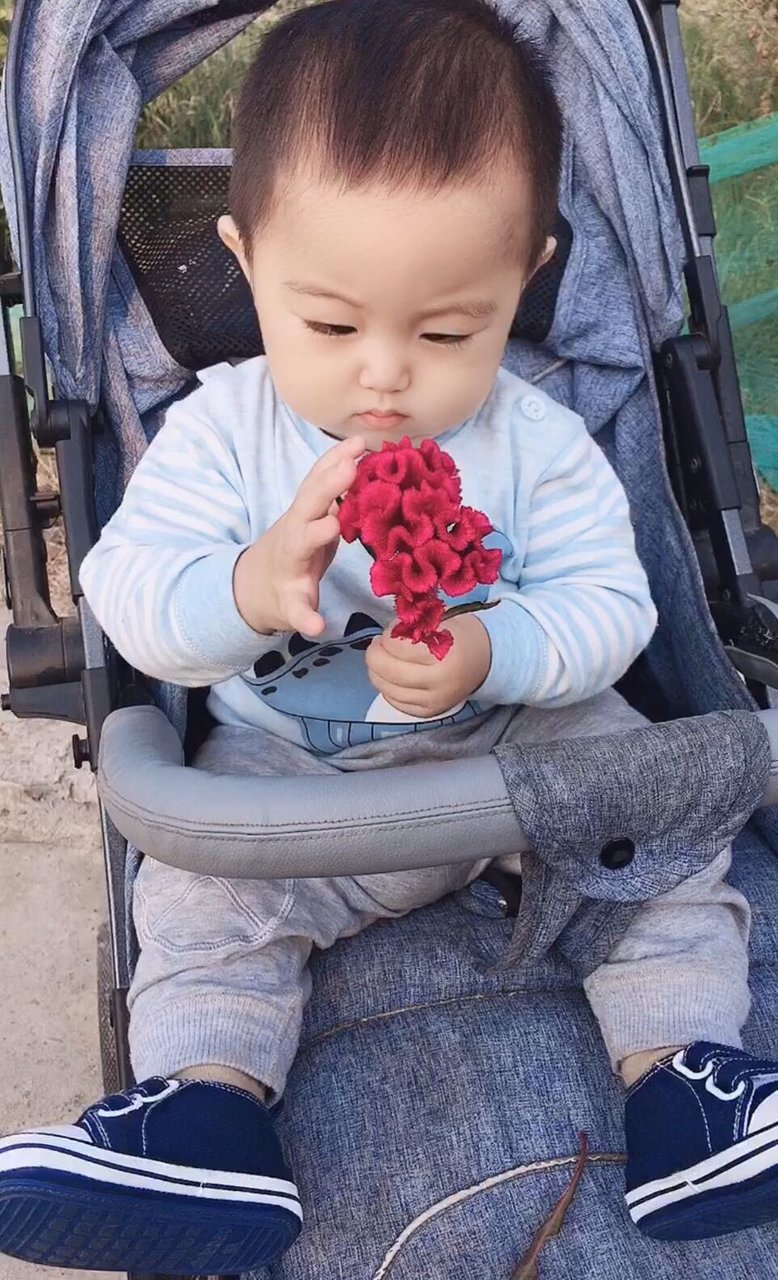 还差两天就9个月了✌️