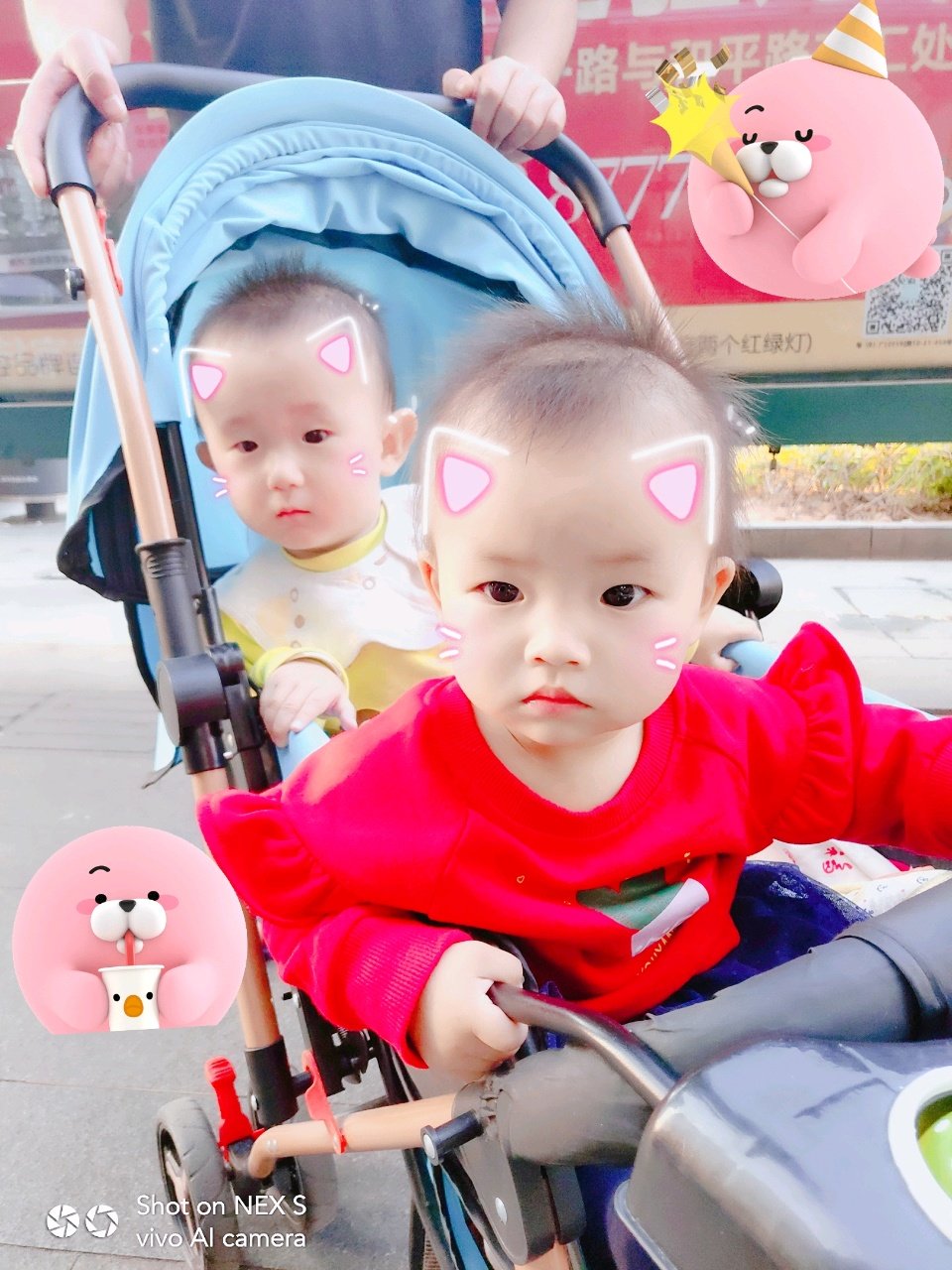 我和我的小伙伴