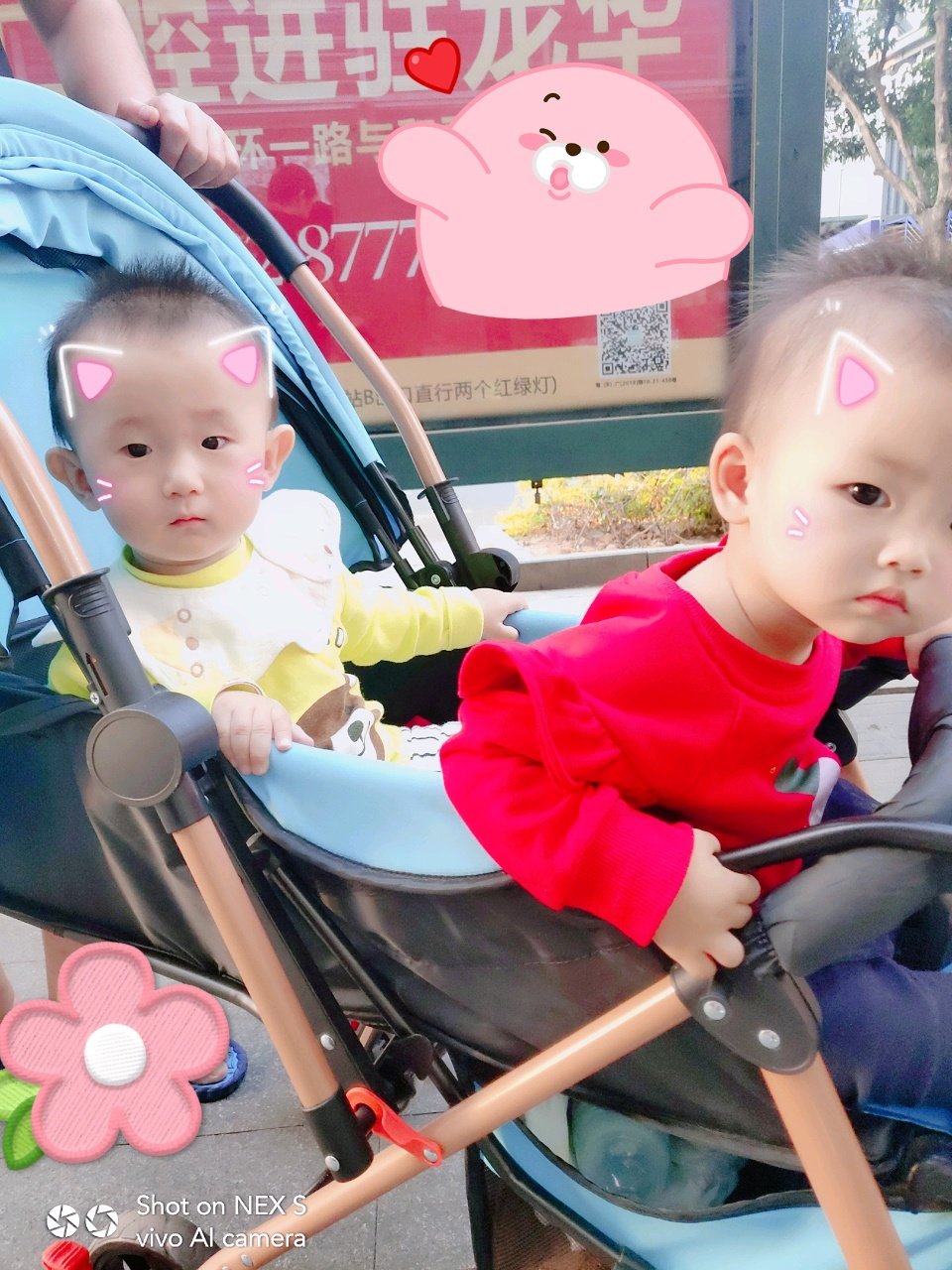 我和我的小伙伴