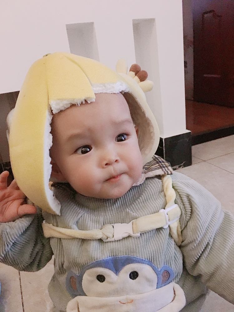 每周一个辅食样