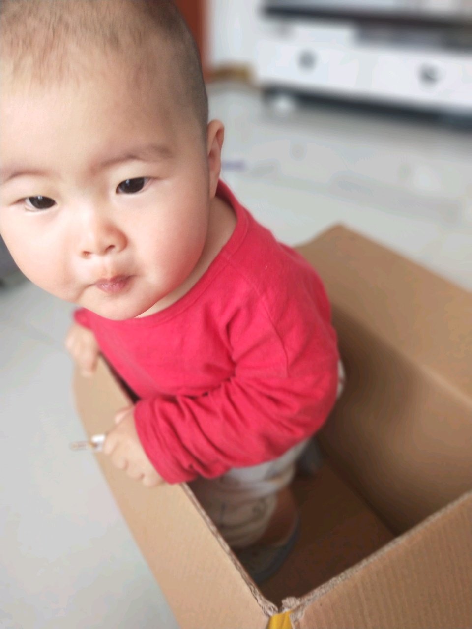 详细划分大脑学习关键期