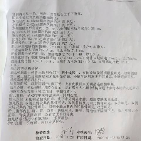 journal_insert_pic_1382804233