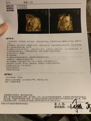 journal_insert_pic_1385448017