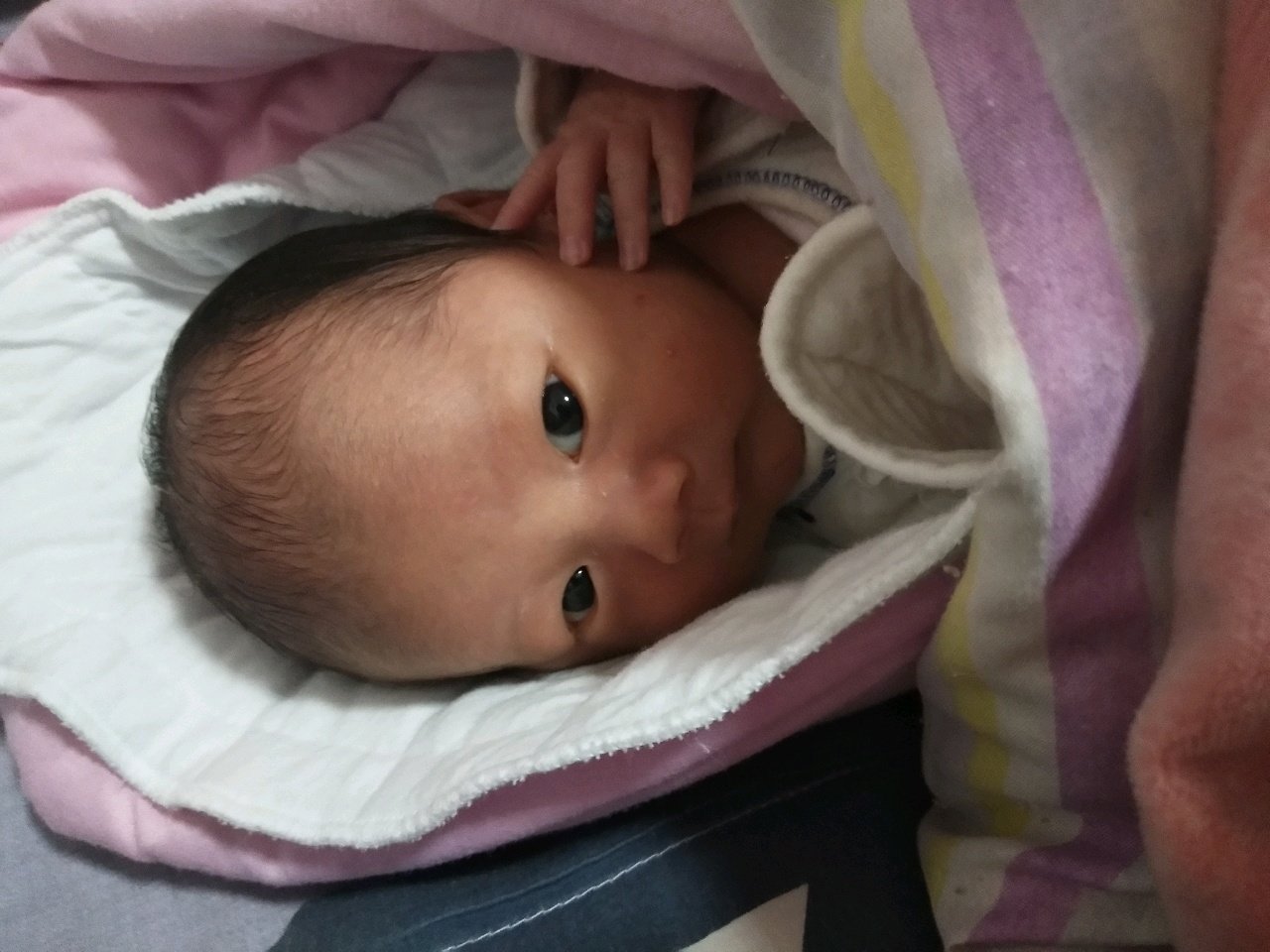 上头条就靠它