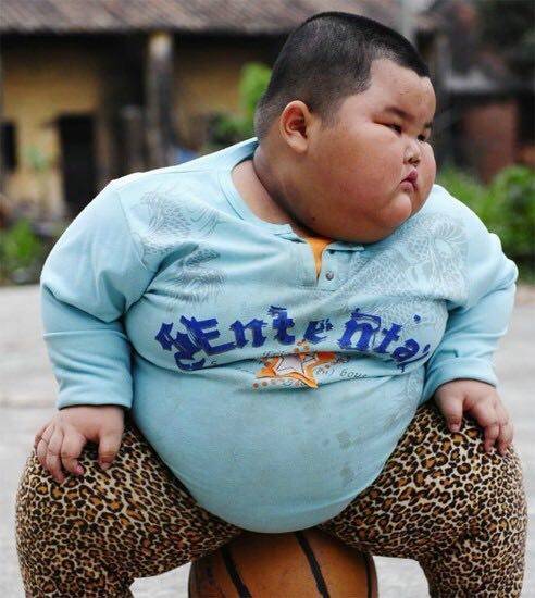 胖宝宝的忧思录