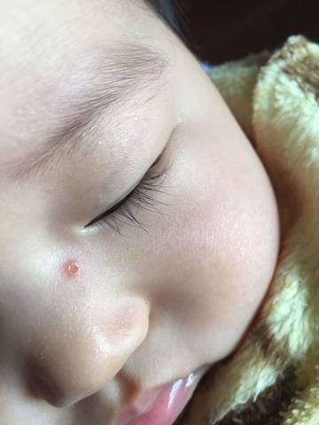 journal_insert_pic_1422156464