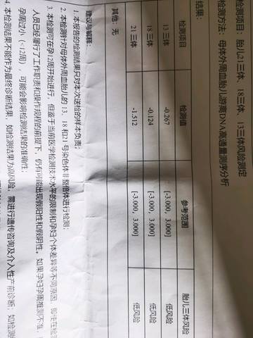 journal_insert_pic_1486025664