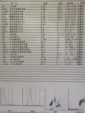 journal_insert_pic_1508054887