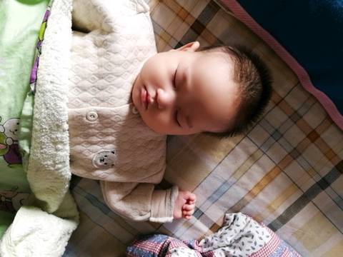 journal_insert_pic_1510396014