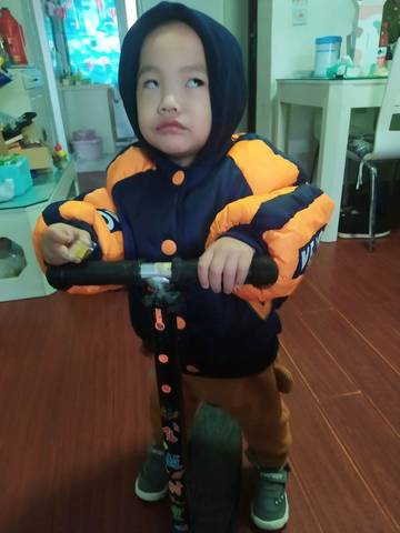 journal_insert_pic_1512253843