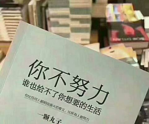 journal_insert_pic_1533462346