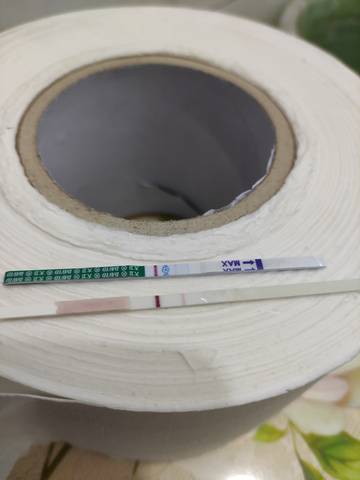 journal_insert_pic_1561256528