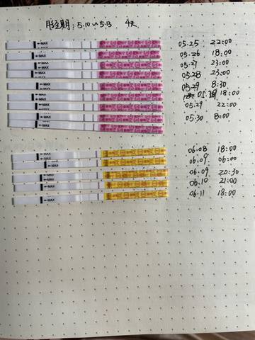 journal_insert_pic_1589630398