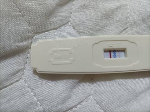 这是怀孕了吗,今天是姨妈日,用大卫测的